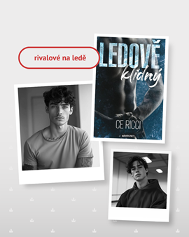 4_hokej_gay_romance.png
