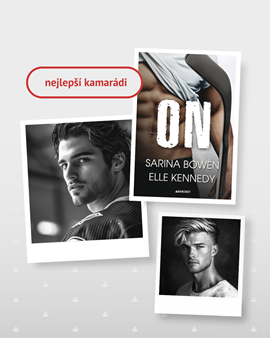 5_hokej_gay_romance.png