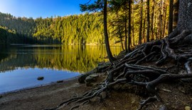Certovo jezero.jpg