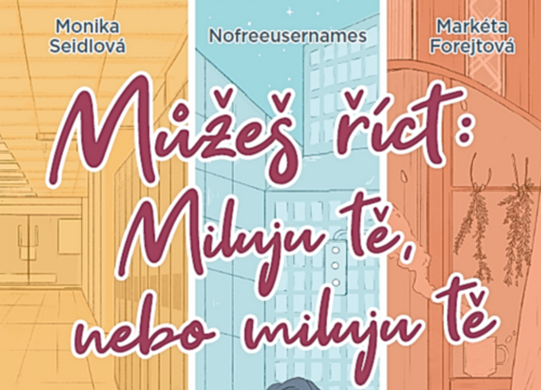 Můžeš říct: Miluju tě - BONUSOVÉ KAPITOLY
