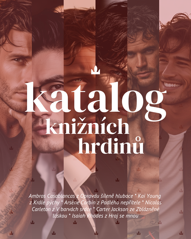 Katalog knižních hrdinů