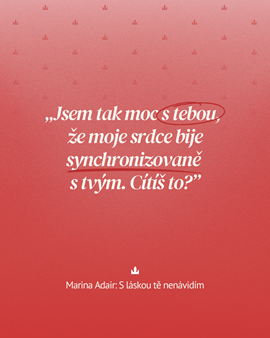 S LÁSKOU TĚ NENÁVIDÍM (3).png