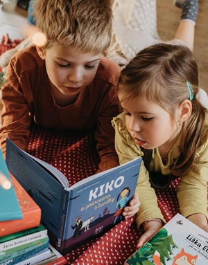 Kvíz: Kterou knížku koupit dětem pod stromeček?