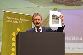 IMG_4768.JPG