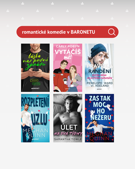 Téměř dokonalá (6).png