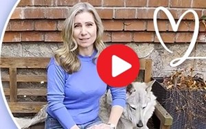 Vzkaz spisovatelky Lucie Hlavinkové učitelům