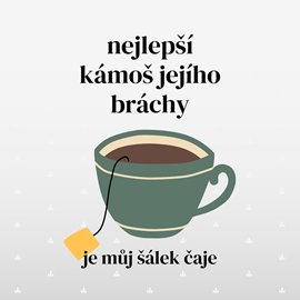2_salek.png