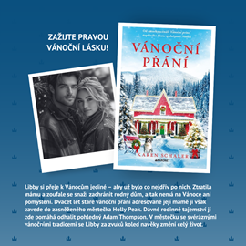 14_vanocni_romance.png