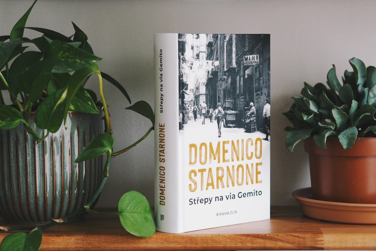 Rozhovor s překladatelkou Alicí Flemrovou