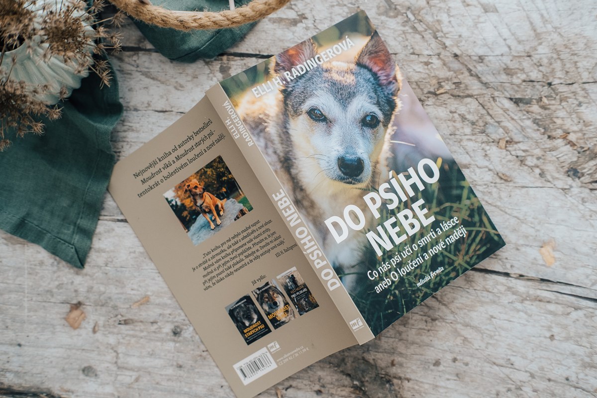 Psí nebe aneb Spánek 