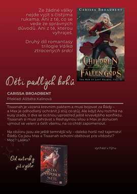 26.png