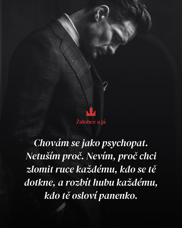 Žalobce a já