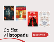 Listopadová knižní nálož