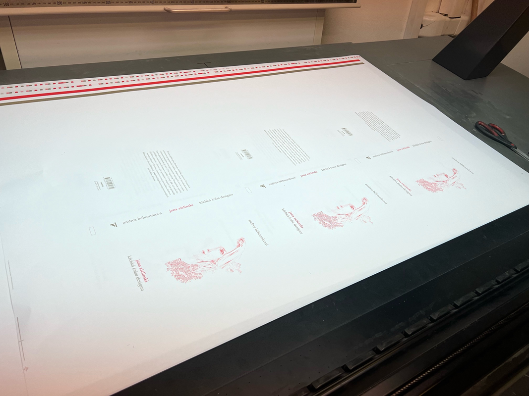 Křehká krása designu míří z tiskárny na váš stůl.