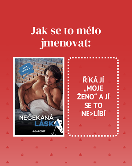 3_jak_se_to_melo_jmenovat.png