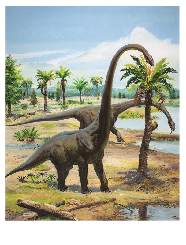 Brachiosaurus 1941, one of the most iconic pictures of the „classic“ period of paleoart.