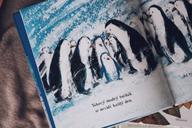 Albatrosí hlasatel FB 5.jpg