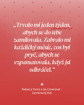 Zamilovaný kluk (3).png