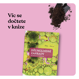 8_dzungloidni_zahrady.png
