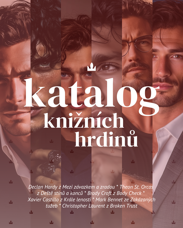 Katalog knižních hrdinů