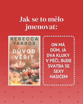 4_jak_se_to_melo_jmenovat.png