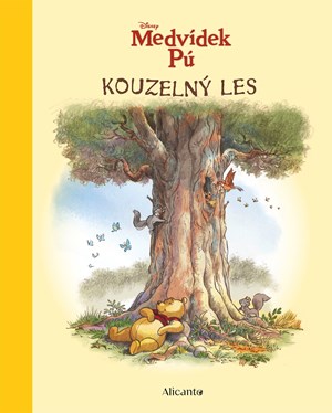 Medvídek Pú  - Kouzelný les