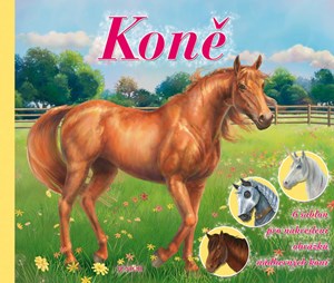 Koně (šablony)