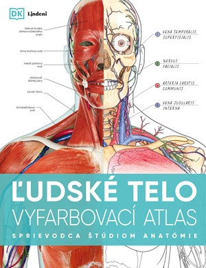 Ľudské telo - vyfarbovací atlas (slovensky)