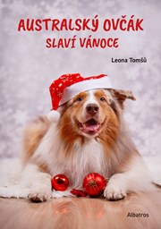 Australský ovčák slaví Vánoce