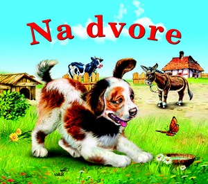 Na dvore (slovensky)