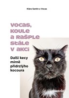 Další kecy mírně přidrzlýho kocoura