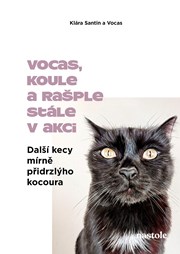 Další kecy mírně přidrzlýho kocoura