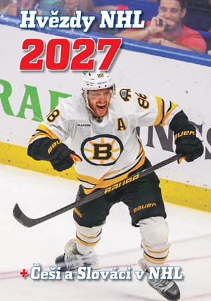 Hvězdy NHL 2027