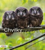 Chvilky v přírodě