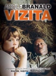 Vizita
