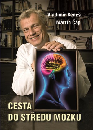 Cesta do středu mozku