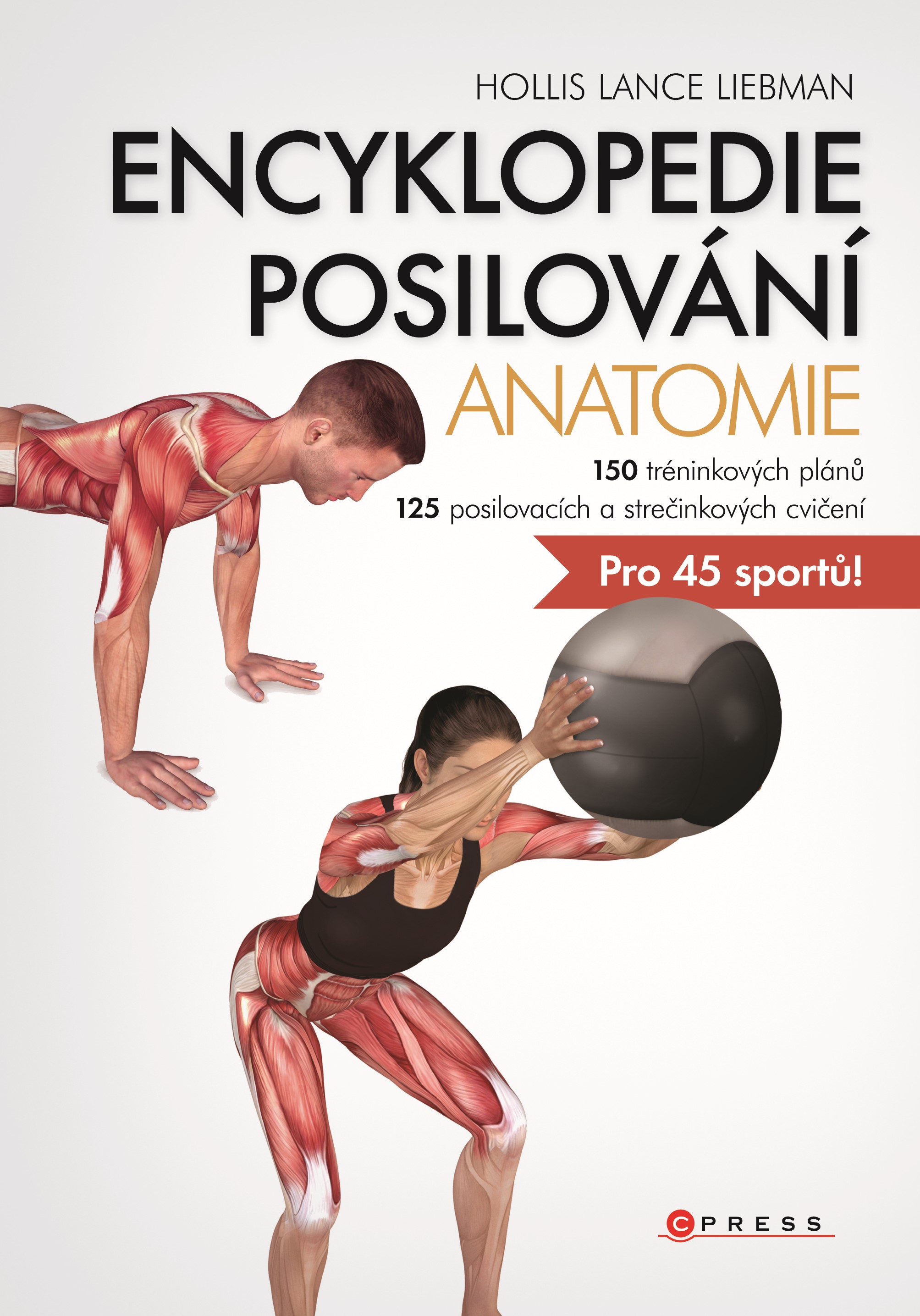 ENCY POSILOVÁNÍ ANATOMIE