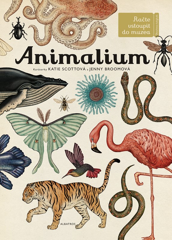 Levně Animalium | Jenny Broomová, Katie Scottová
