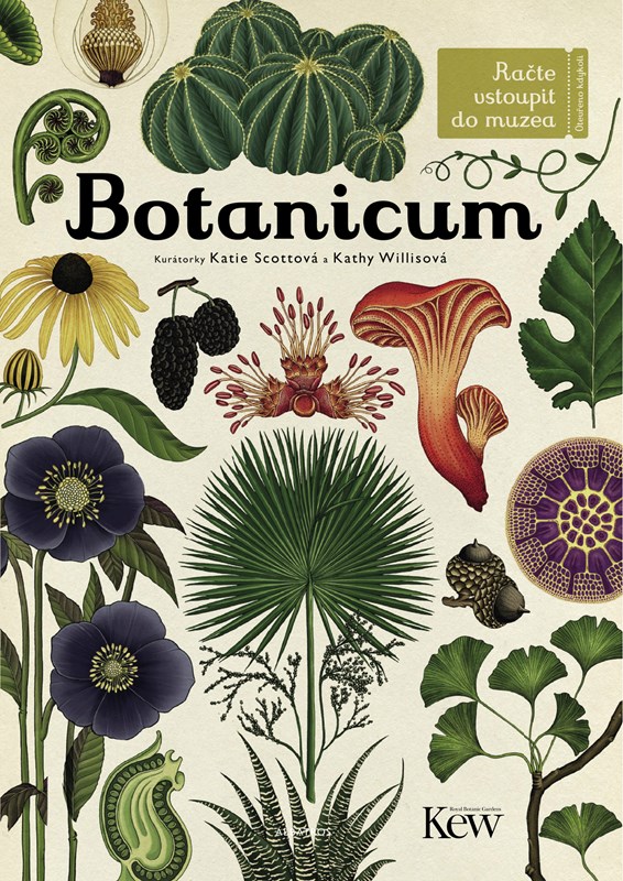 Levně Botanicum | Jenny Broomová