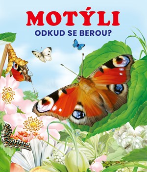 Motýli | Kolektiv, Kolektiv