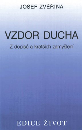 Vzdor ducha