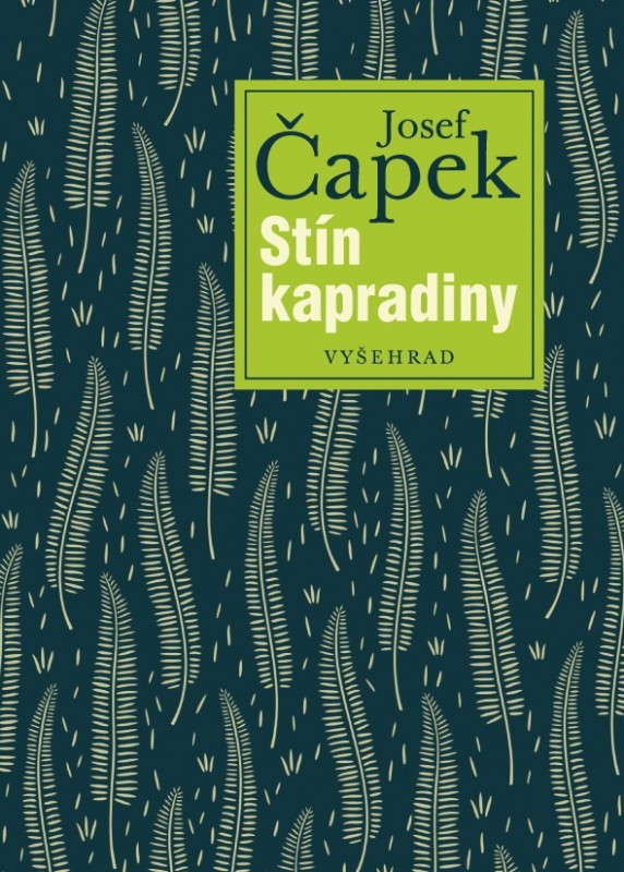 STÍN KAPRADINY