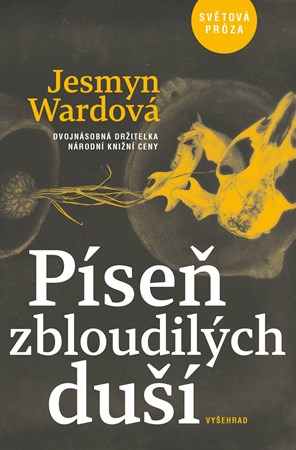 Píseň zbloudilých duší | Jesmyn Wardová, Roman Jakubčík, Ladislav Nagy