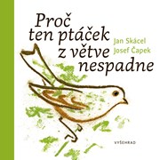 Proč ten ptáček z větve nespadne