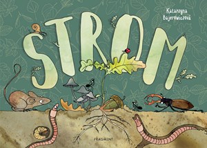 Strom | Katarzyna Bajerowiczová