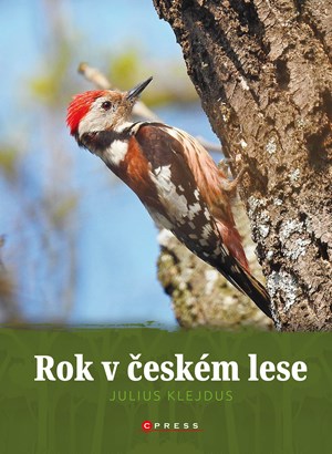 Rok v českém lese | Kolektiv