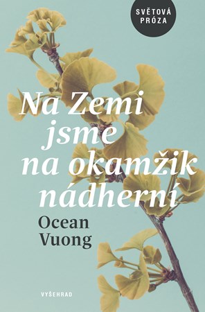 Na Zemi jsme na okamžik nádherní | Ocean Vuong, Martin Světlík