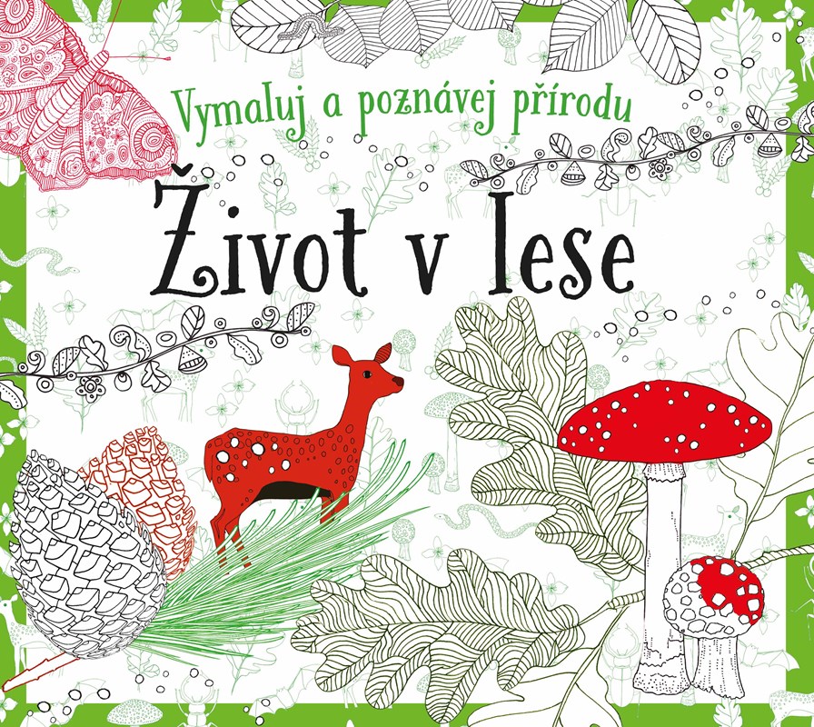 ŽIVOT V LESE VYMALUJ A POZNÁVEJ PŘÍRODU