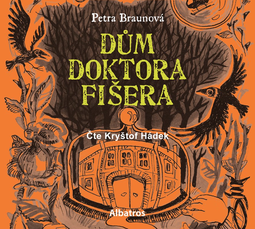 CD DŮM DOKTORA FIŠERA (AUDIOKNIHA PRO DĚTI)