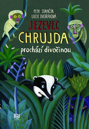 Jezevec Chrujda prochází divočinou | Petr Stančík